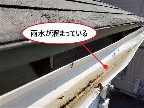 軒樋　雨水溜まり